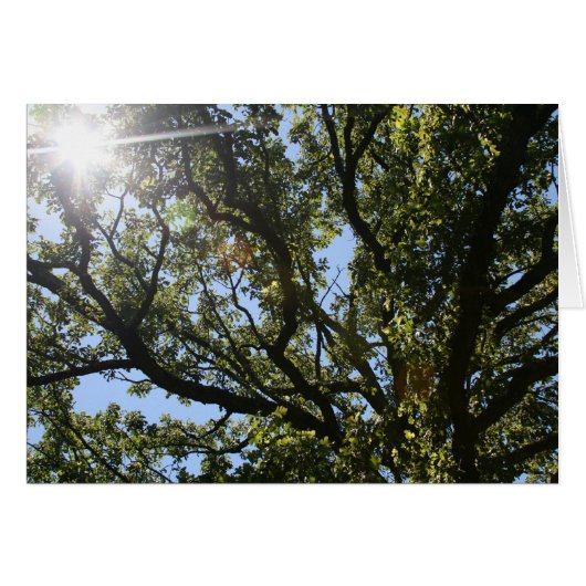 "here comes the sun" by Larry Coressel (Front Horizontal)