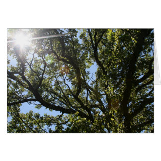 "here comes the sun" by Larry Coressel Cards