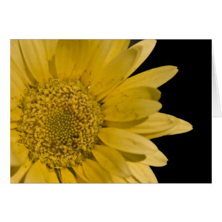 here comes the sun cards