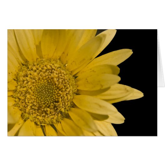 here comes the sun cards (Front Horizontal)