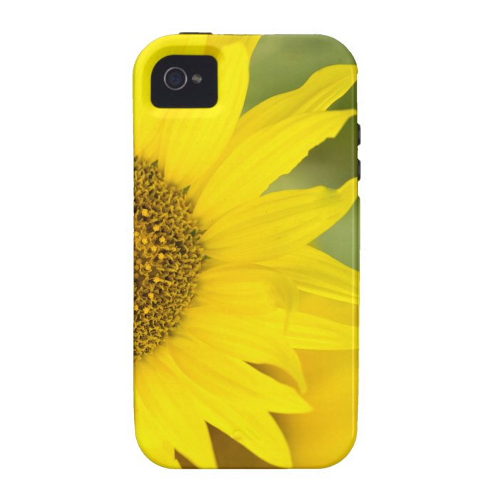 Here Comes the Sun iPhone 4/4S Case