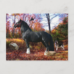 "Here Comes the Sun" Postcard