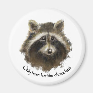 Here for the Chocolate, Cute Raccoon, Animal Magnet