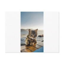 "Here I am" says the Cat