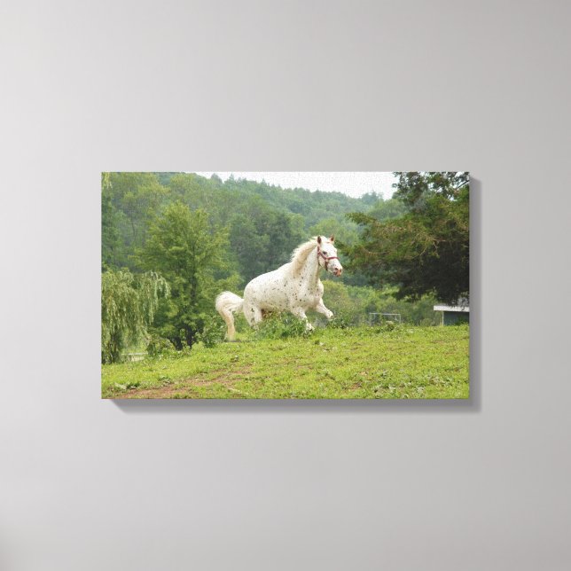 Here I Come Canvas Print (Front)