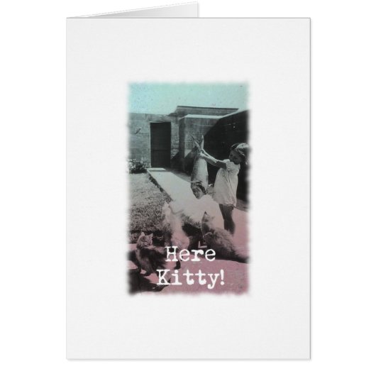 Here Kitty! Cards (Front)