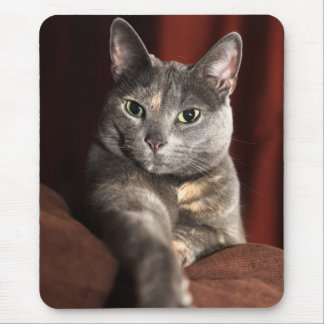 Here mousey mousey mouse pad