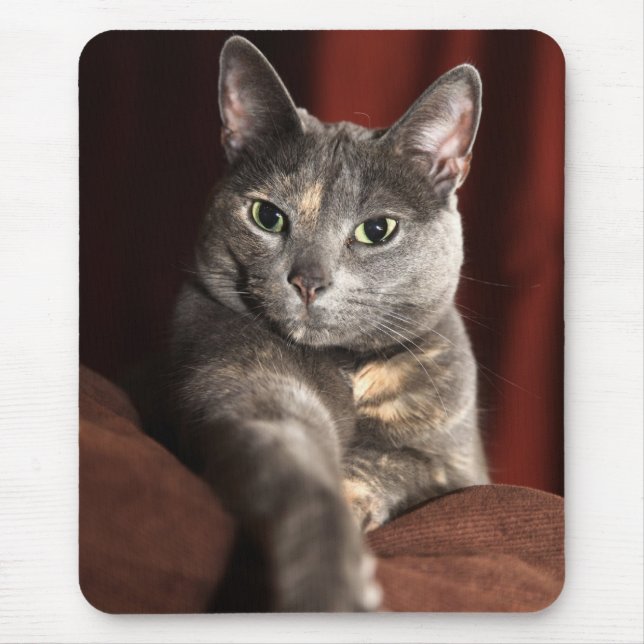 Here mousey mousey mouse pad (Front)