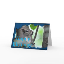 Here’s Looking At You - A Squirrel In Blue_0213