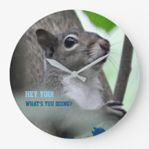 Here’s Looking At You - A Squirrel In Blue_0213