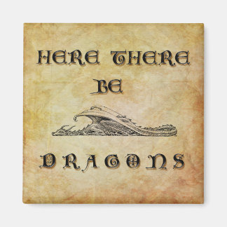 Here There Be Dragons Magnet