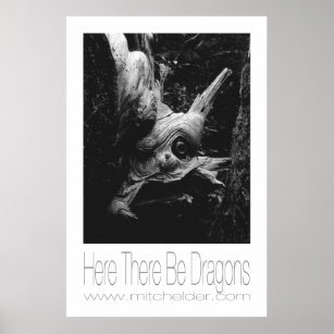 Here Be Dragons Art Wall Décor Zazzle