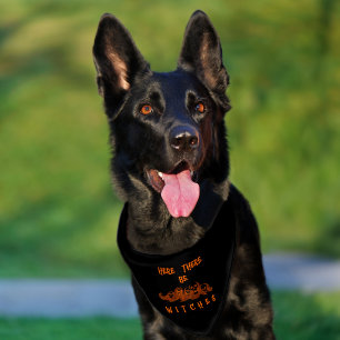 Here There Be Witches Pet Bandana Collar