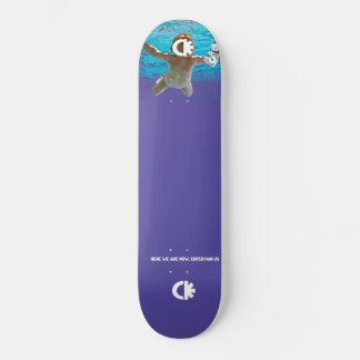 here we are now skateboard