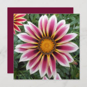 Hereford (Front/Back)