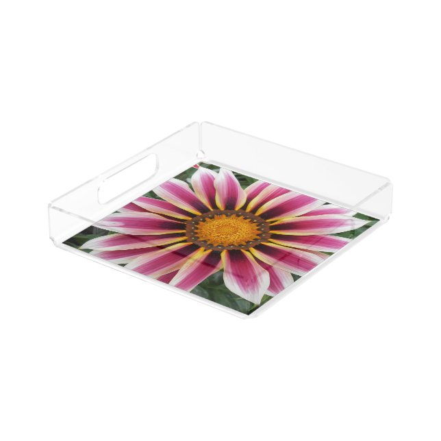 Hereford Acrylic Tray (Angled)