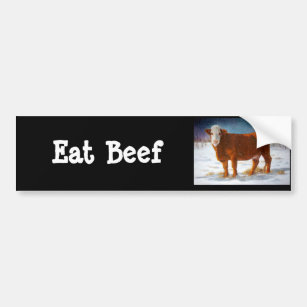 HEREFORD BEEF COW: PASTEL ART BUMPER STICKER