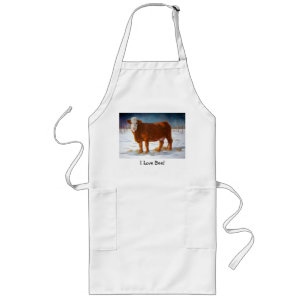 HEREFORD BEEF COW: PASTEL PAINTING: SNOW LONG APRON