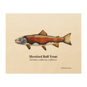 Hereford Bull Trout; Wood Print; 10"x8" Wall Art