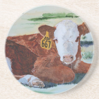 Hereford Calf Drink Coaster