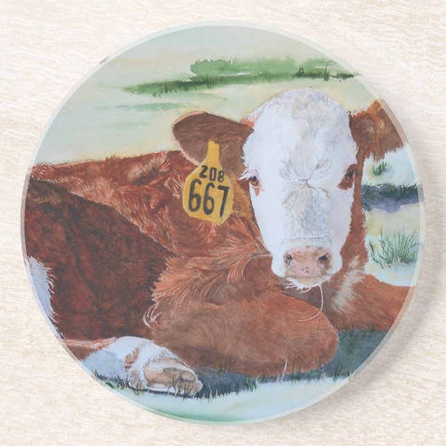Hereford Calf Drink Coaster (Front)