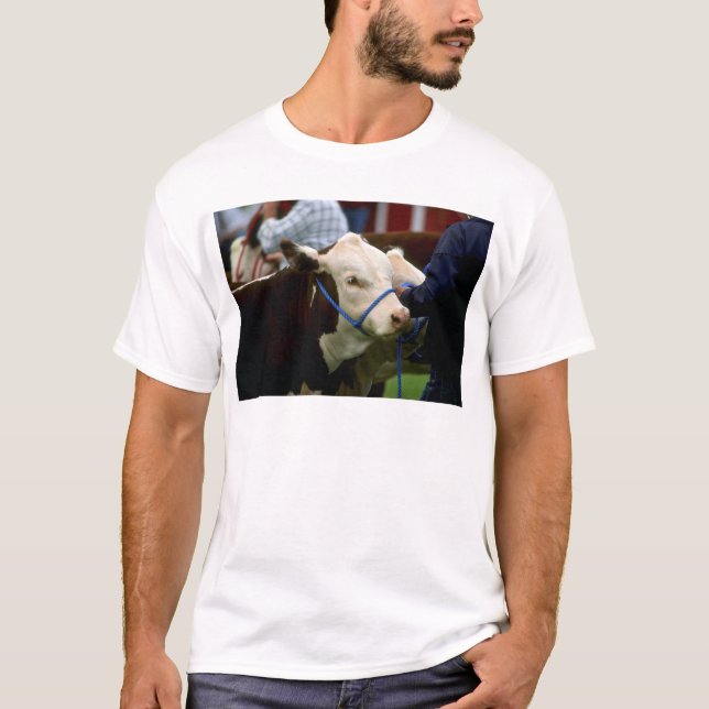 Hereford Cattle T-Shirt (Front)
