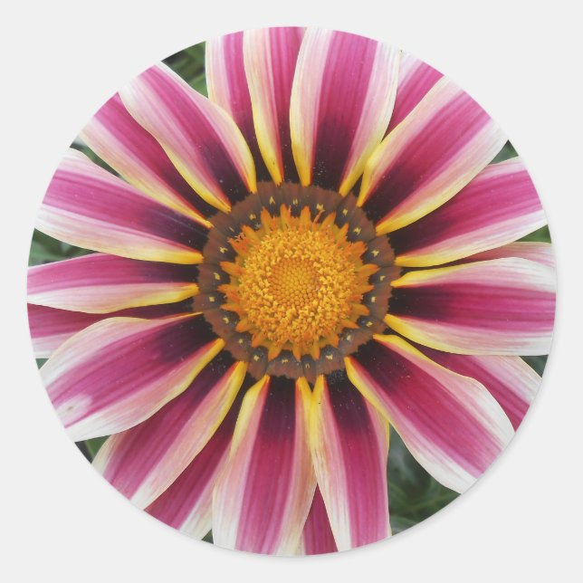 Hereford Classic Round Sticker (Front)