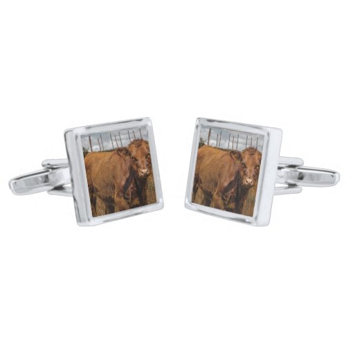 Hereford Cow Baby at Field Landscape Cufflinks