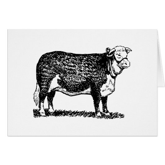 Hereford Cow Cards (Front Horizontal)