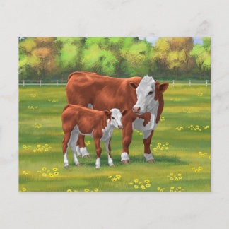 Hereford Cow & Cute Calf in Summer Pasture
