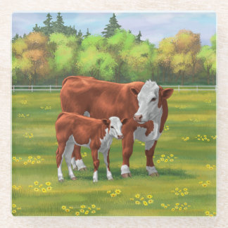 Hereford Cow & Cute Calf in Summer Pasture Glass Coaster