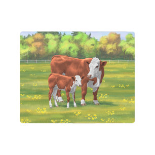 Hereford Cow & Cute Calf in Summer Pasture Metal Print