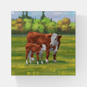 Hereford Cow & Cute Calf in Summer Pasture Paperweight