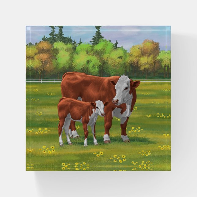 Hereford Cow & Cute Calf in Summer Pasture Paperweight (Front)