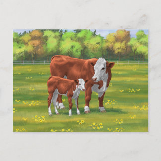 Hereford Cow & Cute Calf in Summer Pasture Postcard