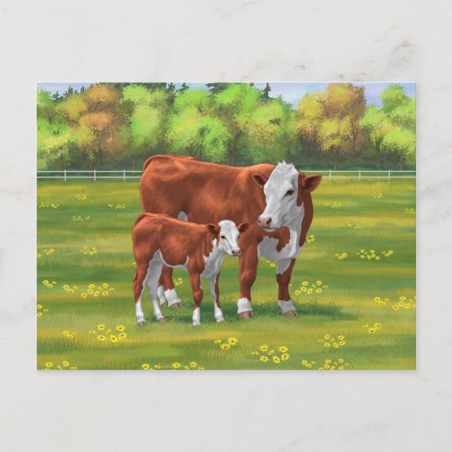 Hereford Cow  Cute Calf in Summer Pasture Postcard