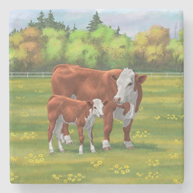 Hereford Cow & Cute Calf in Summer Pasture Stone Coaster (Front)