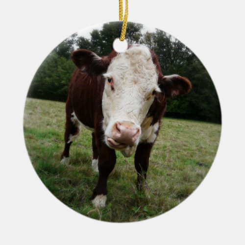 Hereford Cow Sticking out Tongue Ceramic Ornament