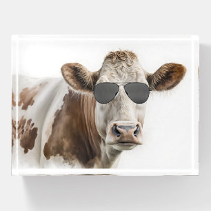 Hereford Cow With Sunglasses Paperweight
