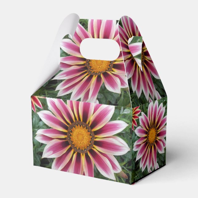 Hereford Favor Boxes (Front Side)