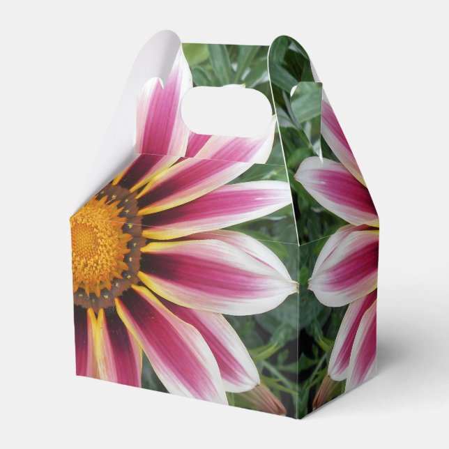 Hereford Favor Boxes (Front Side)