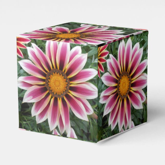 Hereford Favor Boxes (Front Side)