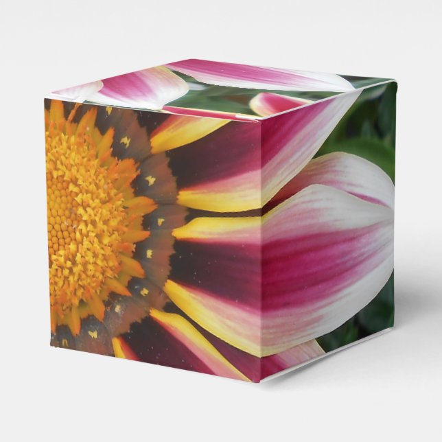 Hereford Favor Boxes (Front Side)