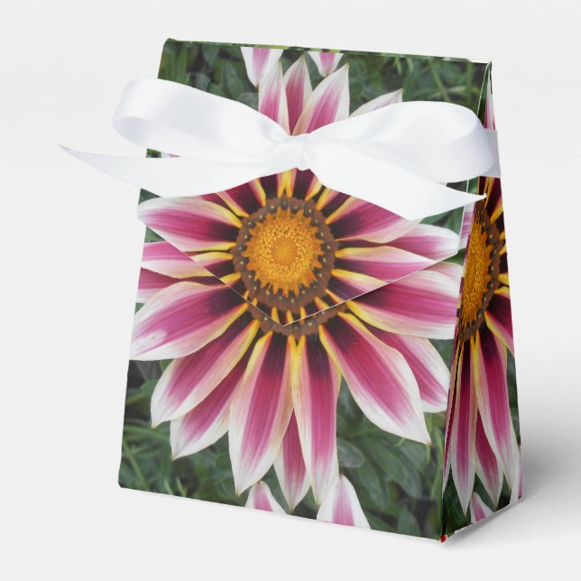 Hereford Favor Boxes (Front Side)
