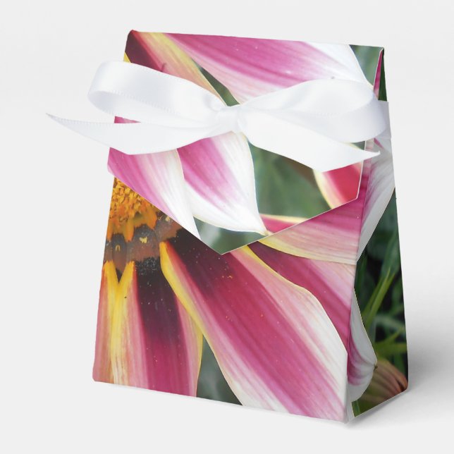 Hereford Favor Boxes (Front Side)