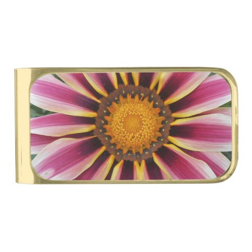 Hereford Gold Finish Money Clip
