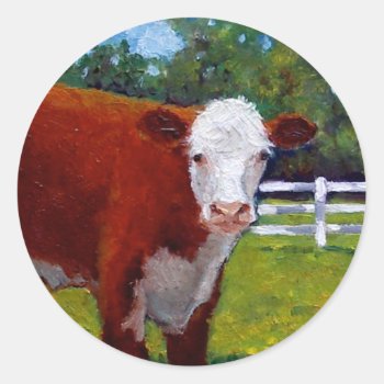 Hereford Heifer Cow Art Classic Round Sticker by joyart at Zazzle