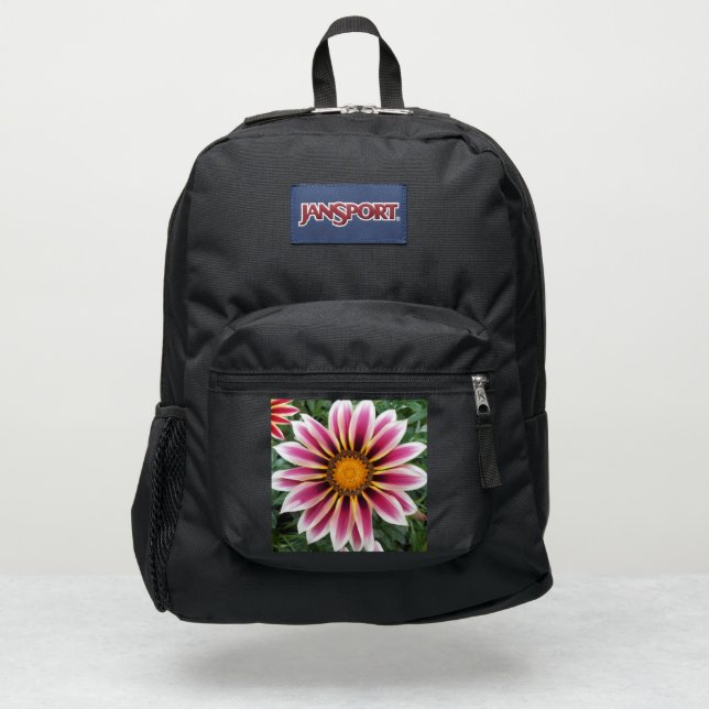 Hereford JanSport Backpack (Front)