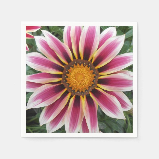 Hereford Napkins (Front)