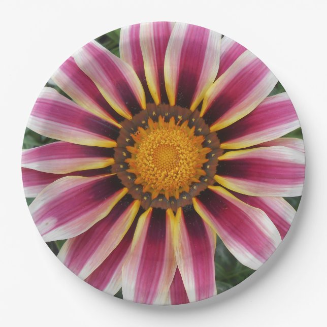 Hereford Paper Plates (Front)